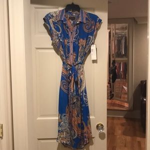 Royal Blue Silk Print Ruffle Dress